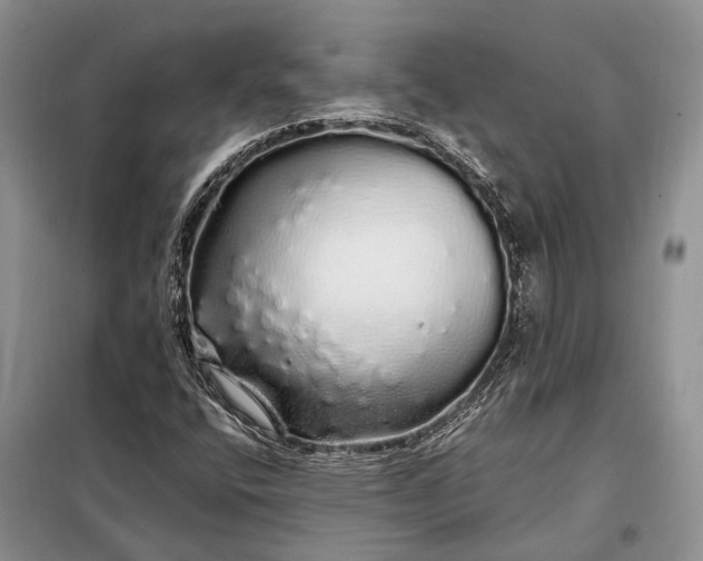 X0000097991400200804071139