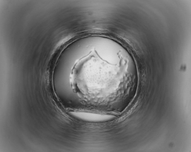 X0000097991402200804071139