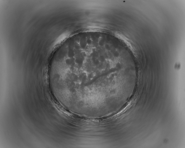 X0000097991403200804071139