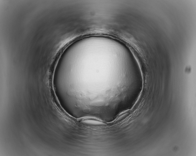 X0000097991404200804071139