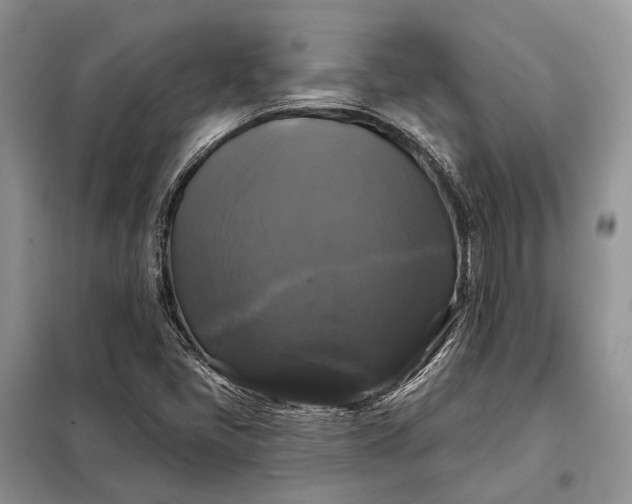 X0000097991405200804071139