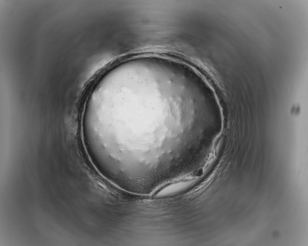 X0000097991406200804071139