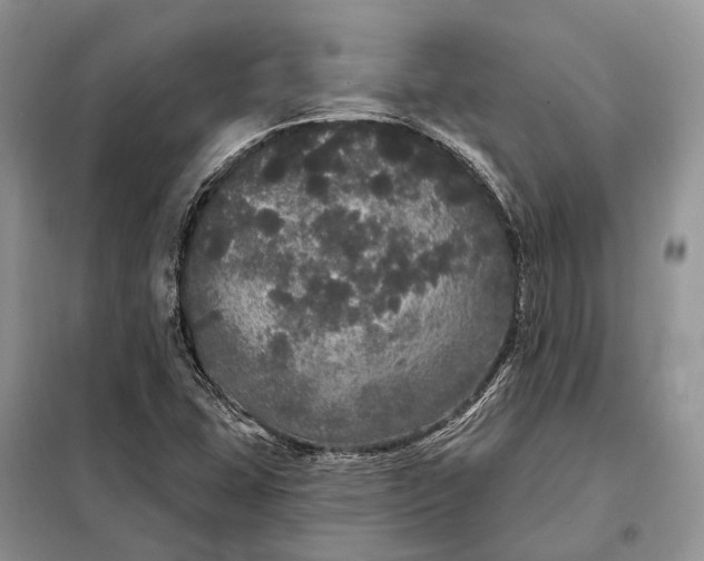X0000097991407200804071139