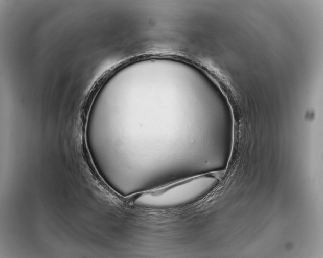 X0000097991408200804071139