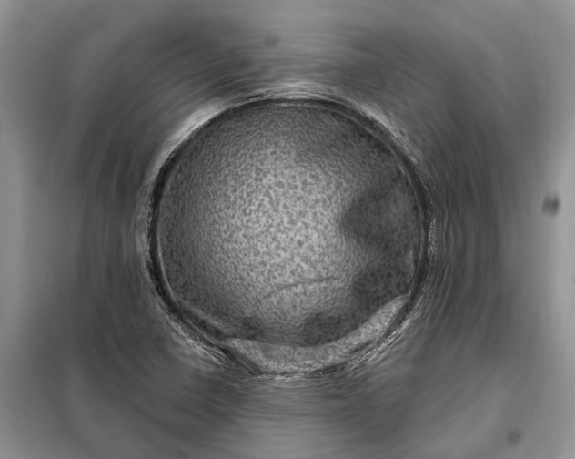 X0000097991410200804071139