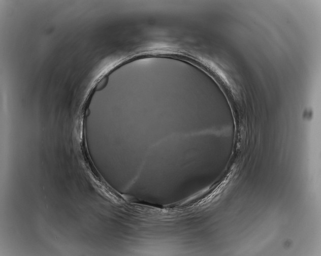 X0000097991413200804071139