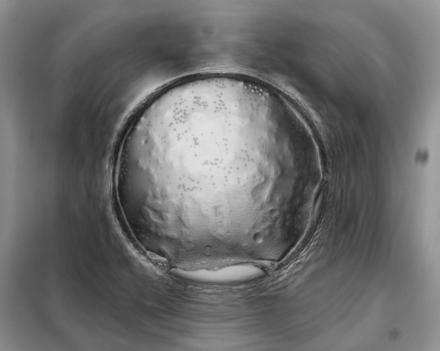X0000097991416200804071139