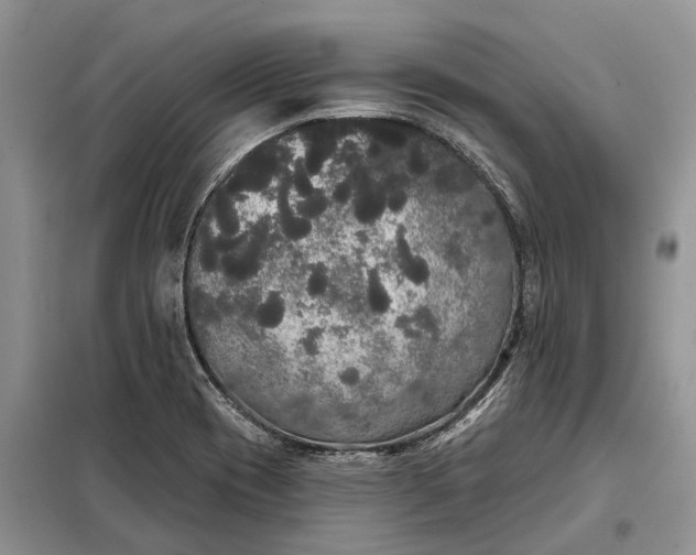 X0000097991417200804071139