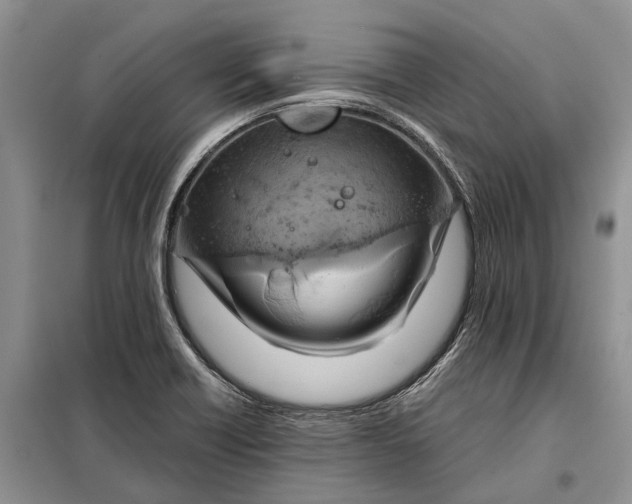 X0000097991418200804071139