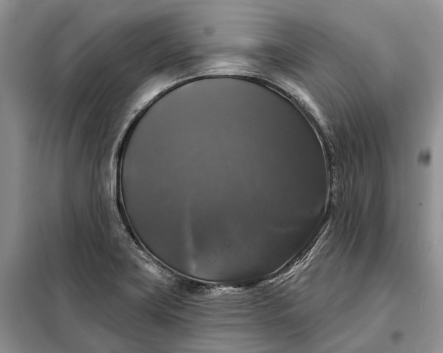 X0000097991419200804071139