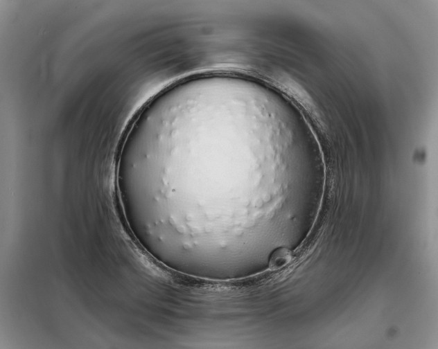 X0000097991420200804071139