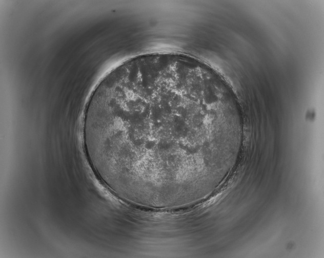 X0000097991421200804071139
