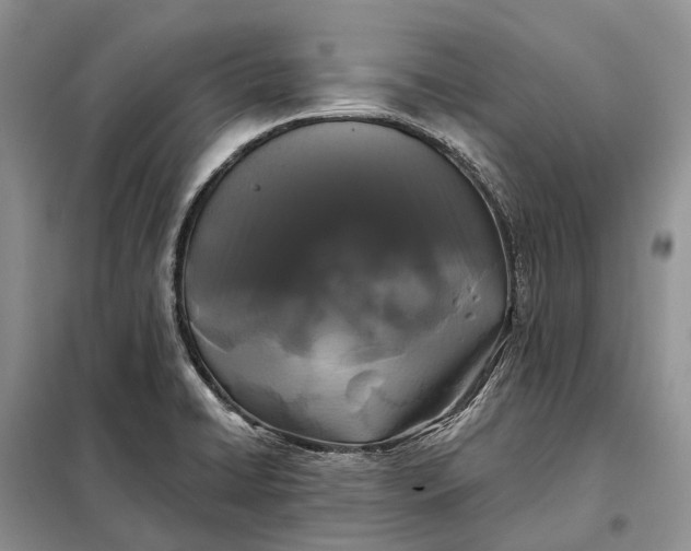 X0000097991422200804071139
