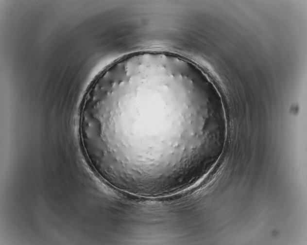 X0000097991424200804071139