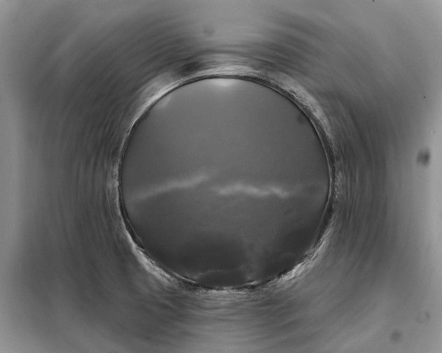 X0000097991425200804071139