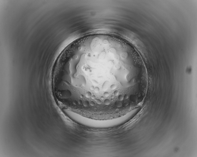 X0000097991426200804071139