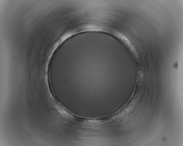X0000097991427200804071139