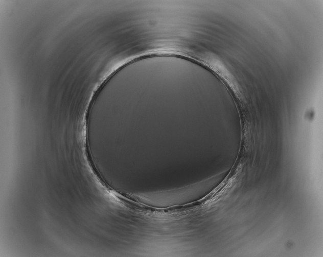 X0000097991428200804071139