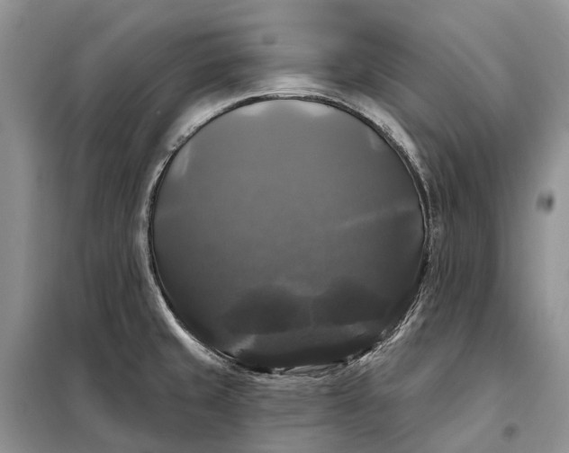 X0000097991429200804071139