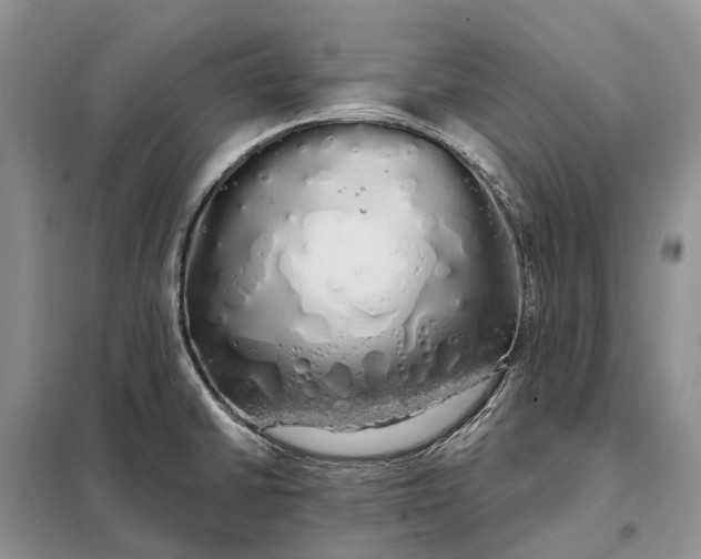 X0000097991430200804071139