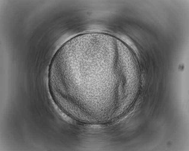X0000097991431200804071139