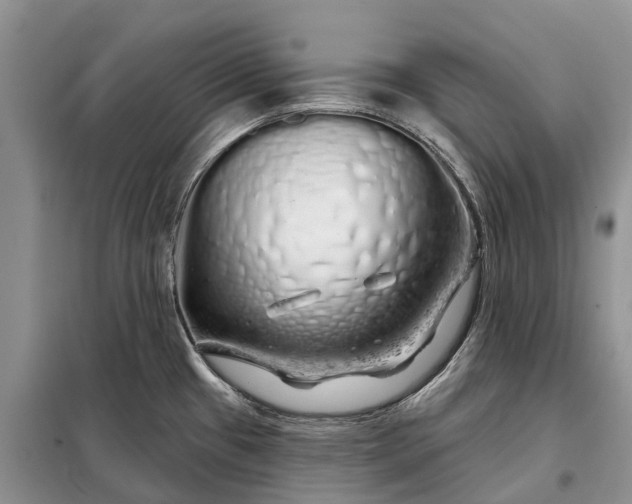 X0000097991433200804071140