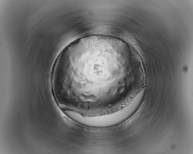 X0000097991434200804071140