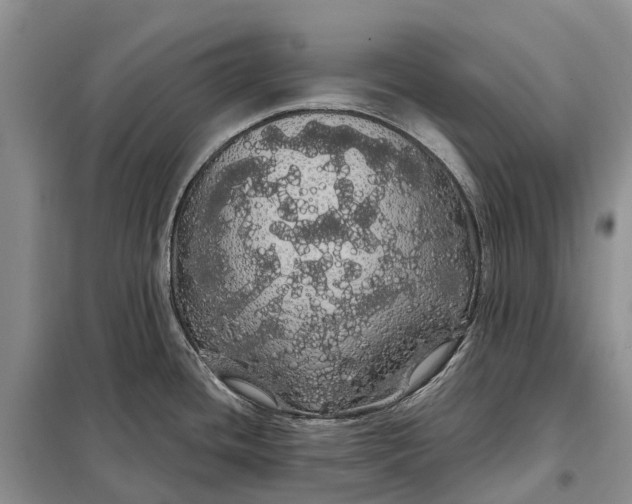 X0000097991436200804071140