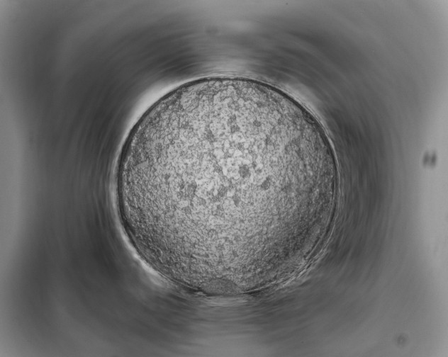 X0000097991440200804071140