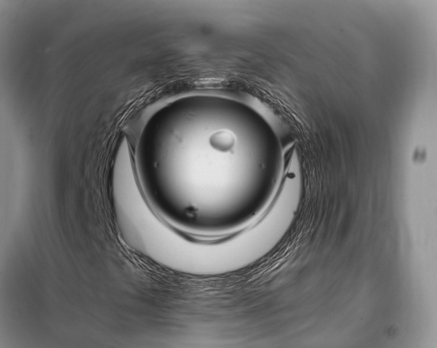 X0000097991441200804071139