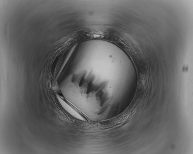X0000097991442200804071139