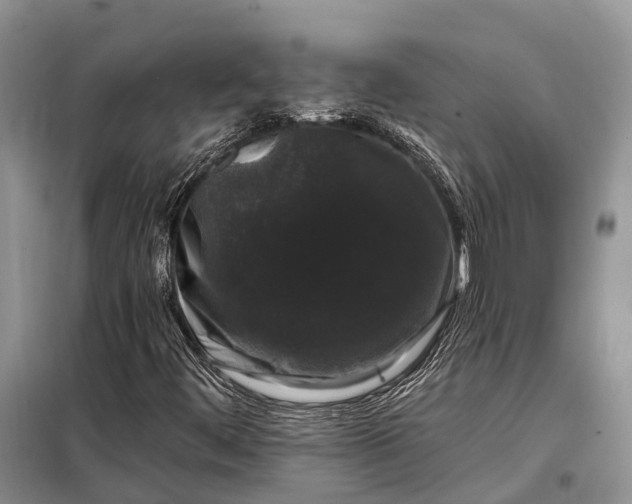 X0000097991444200804071139