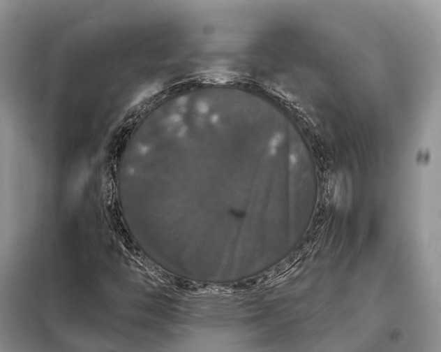 X0000097991446200804071139