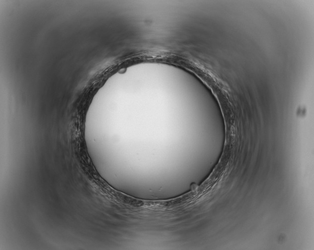 X0000097991447200804071139