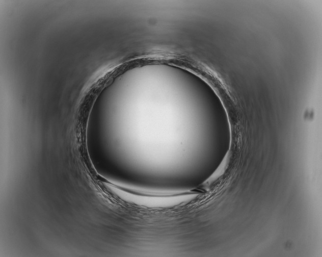 X0000097991448200804071139