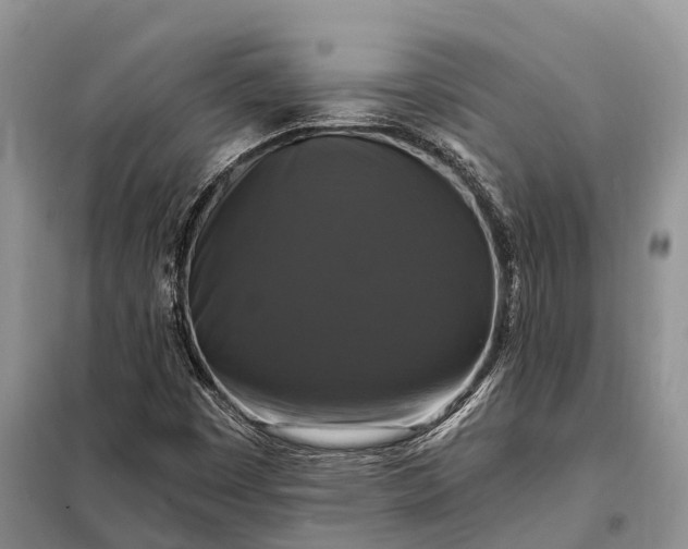 X0000097991449200804071139