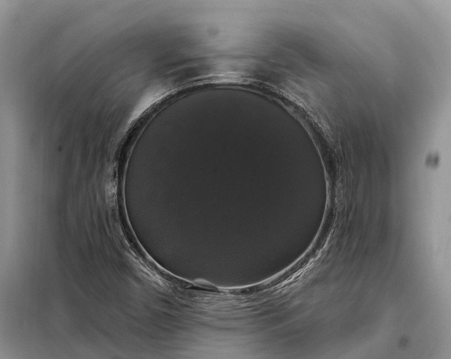 X0000097991450200804071139