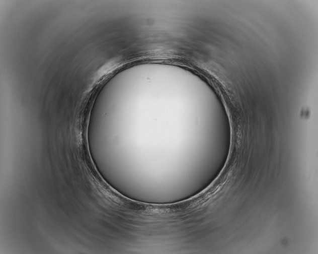 X0000097991451200804071139