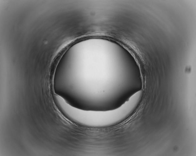 X0000097991452200804071139