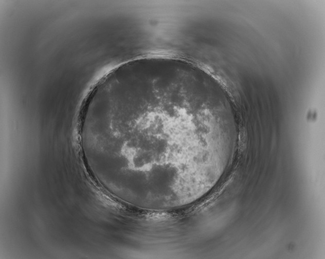 X0000097991454200804071139