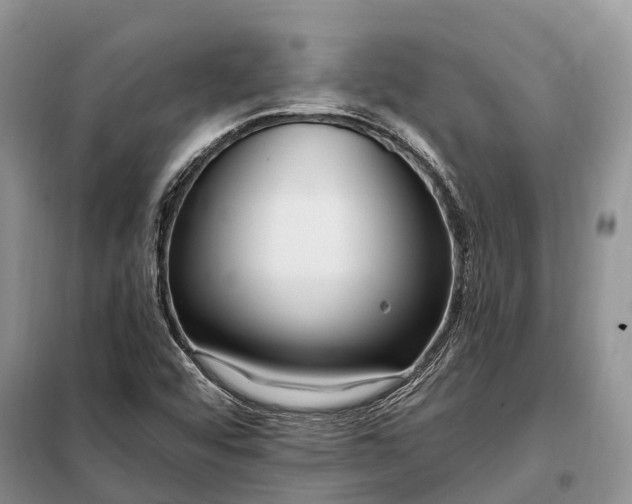 X0000097991456200804071139