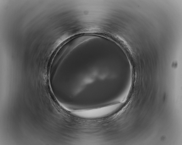 X0000097991457200804071139