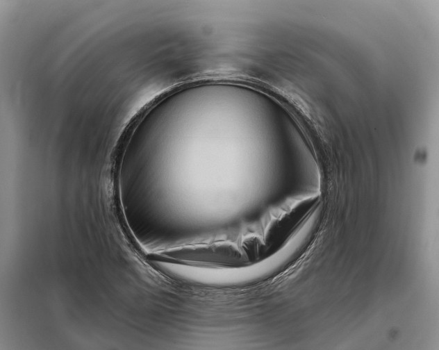 X0000097991458200804071139