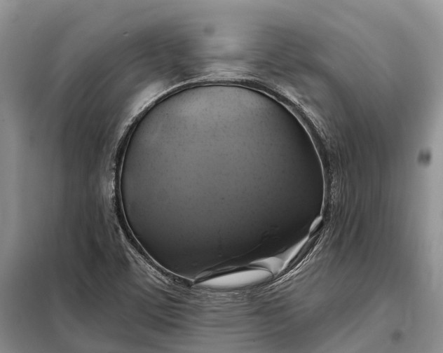 X0000097991459200804071139