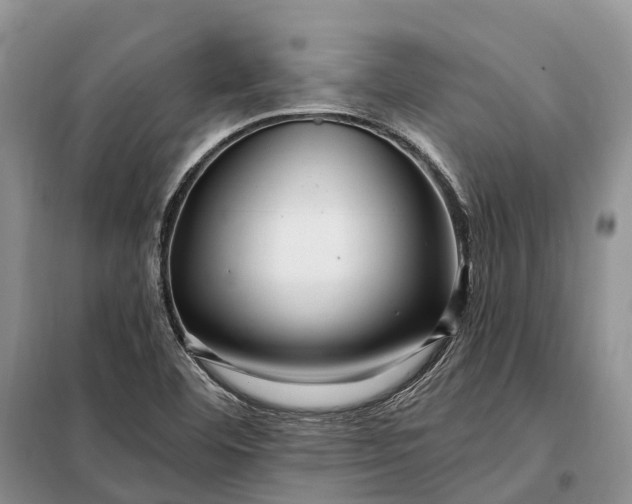 X0000097991460200804071139