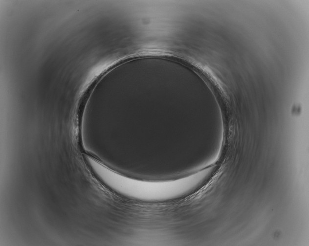 X0000097991461200804071138
