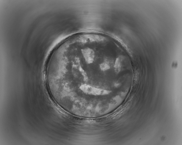 X0000097991462200804071138