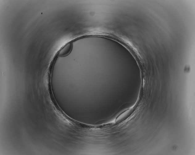 X0000097991463200804071138