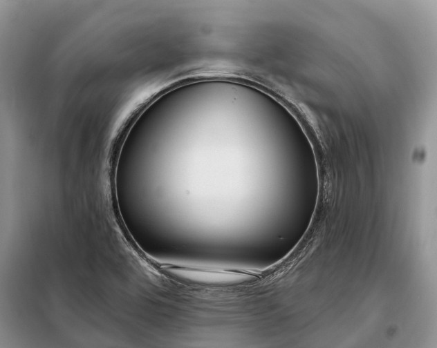 X0000097991464200804071138