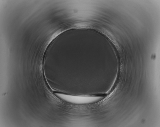 X0000097991465200804071138